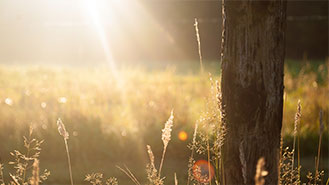 免费24小时不停呼叫软件下载