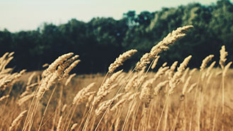 智能错误处理的轰炸别人手机号码软件